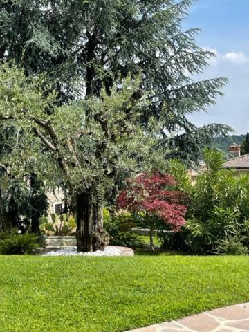 La Casa In Collina Leilighet Caprino Veronese Eksteriør bilde